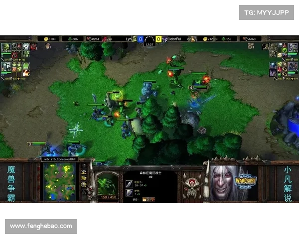 魔兽世界熊德：探索高伤害攻击之道